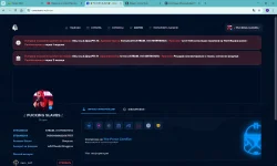 Форум - Union Team - Google Chrome 26.02.2025 18_51_06.webp